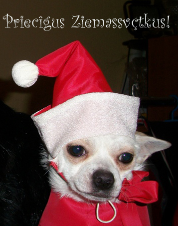 Dabitis+Ziemassvētki 2012 apsv